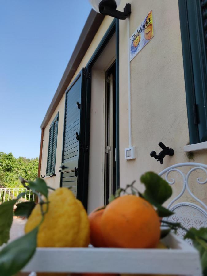 Villa Martino Apartments 切法卢 外观 照片